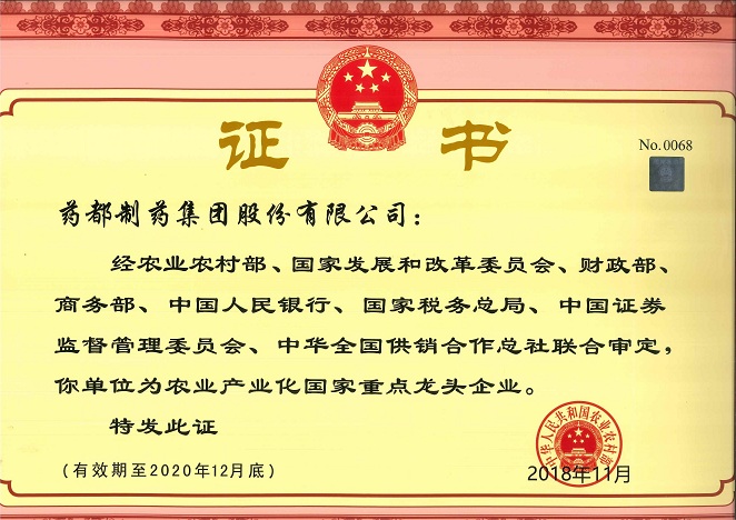 龍頭企業小圖.jpg